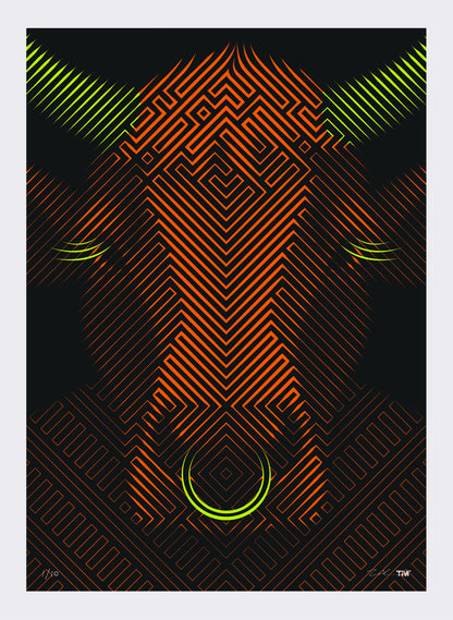 Beautibull - Orange &amp; Green