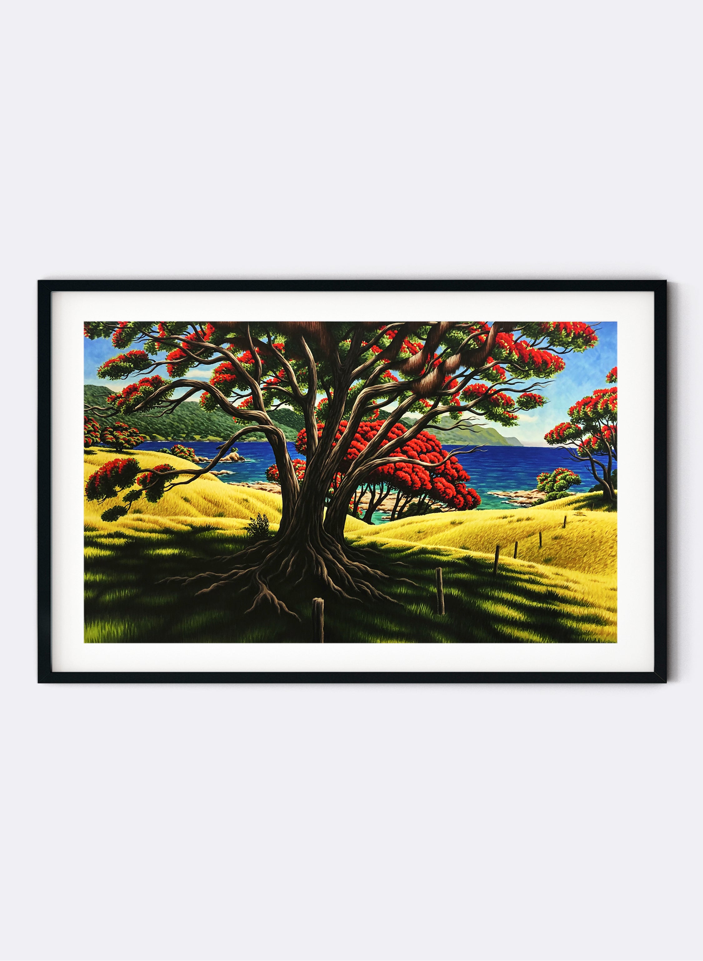 Old Man Pohutukawa (Lottin Point) - Giclée Print