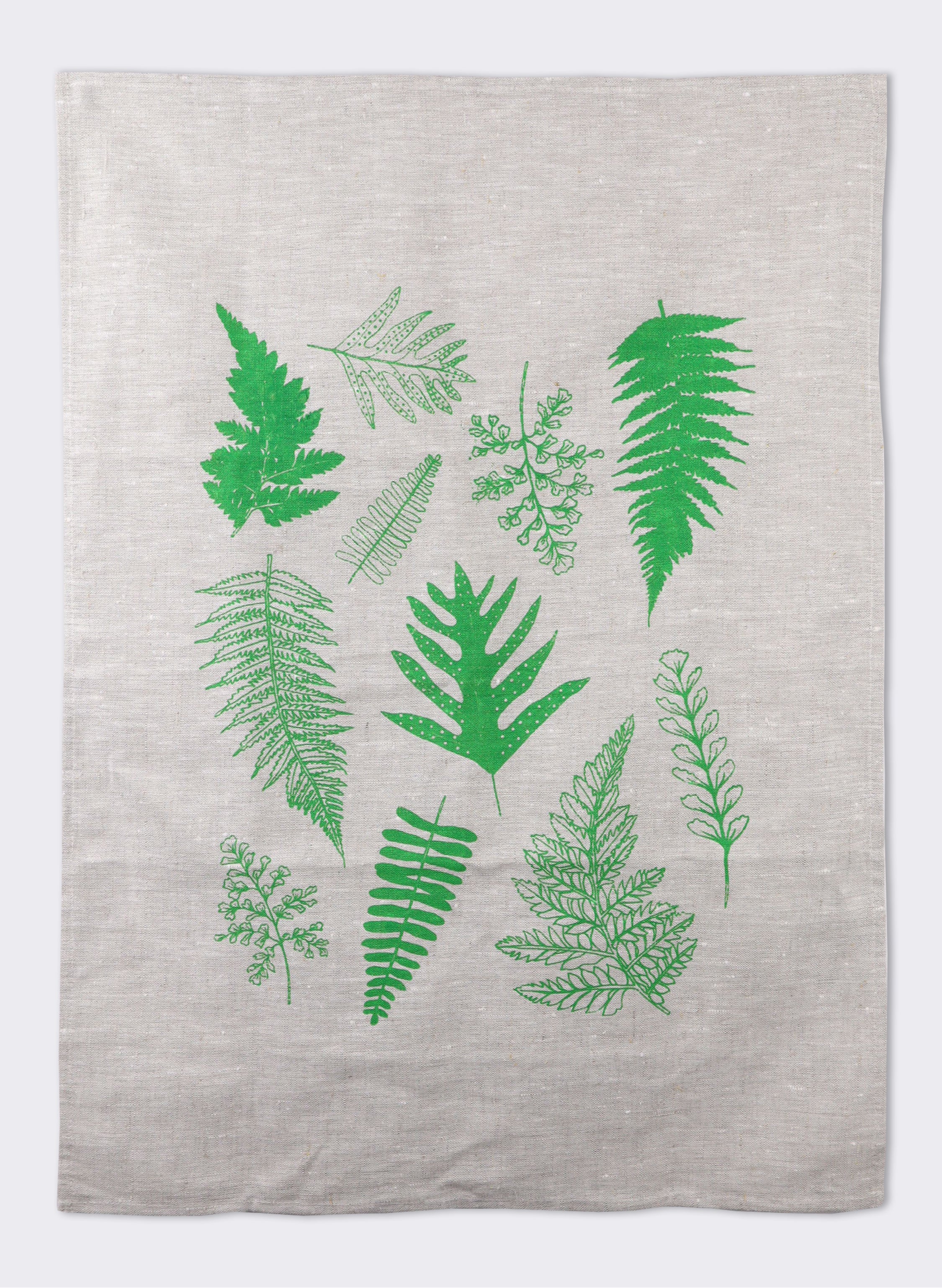 Fern Leaves - Green