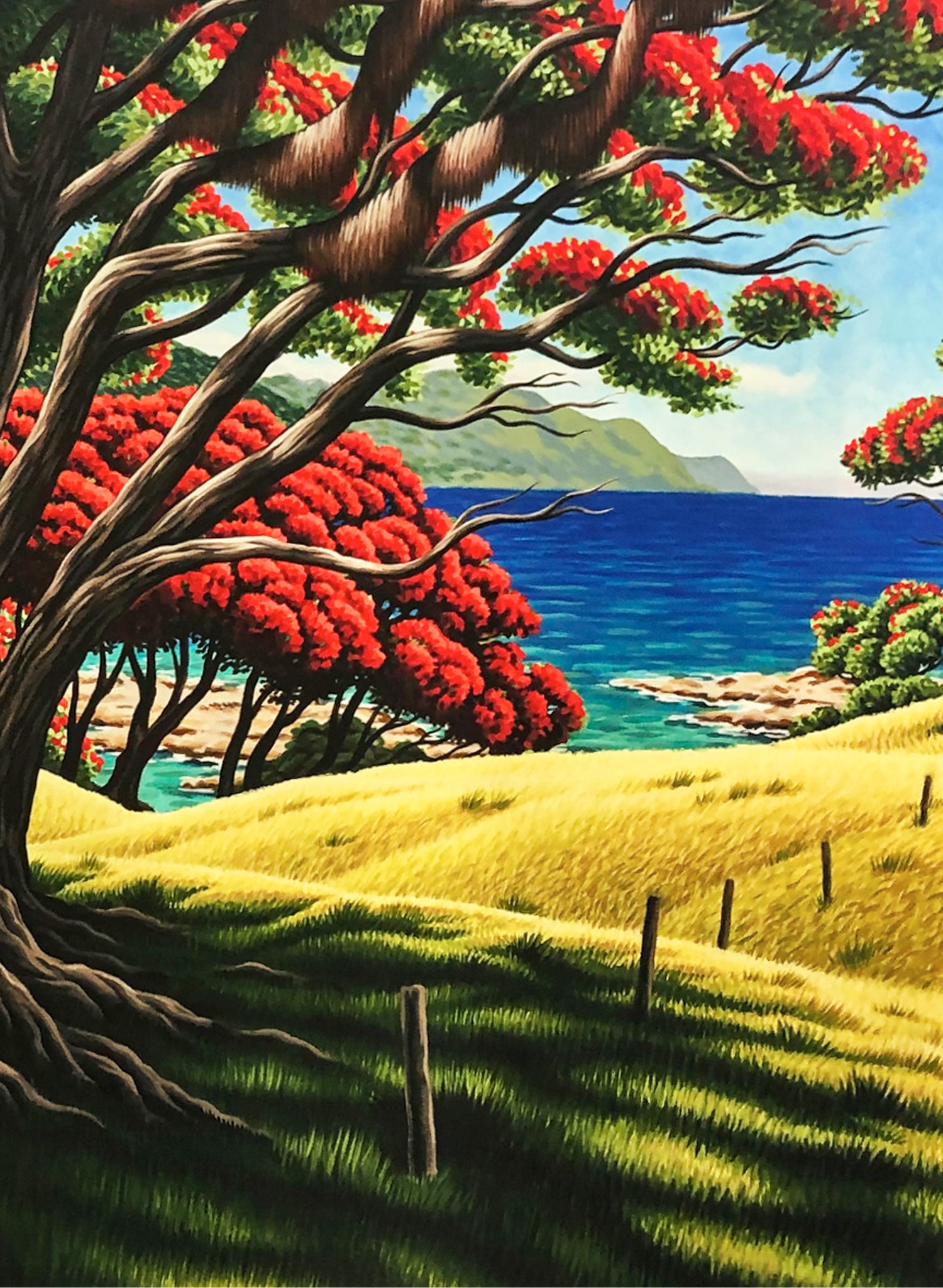 Old Man Pohutukawa (Lottin Point) - Giclée Print