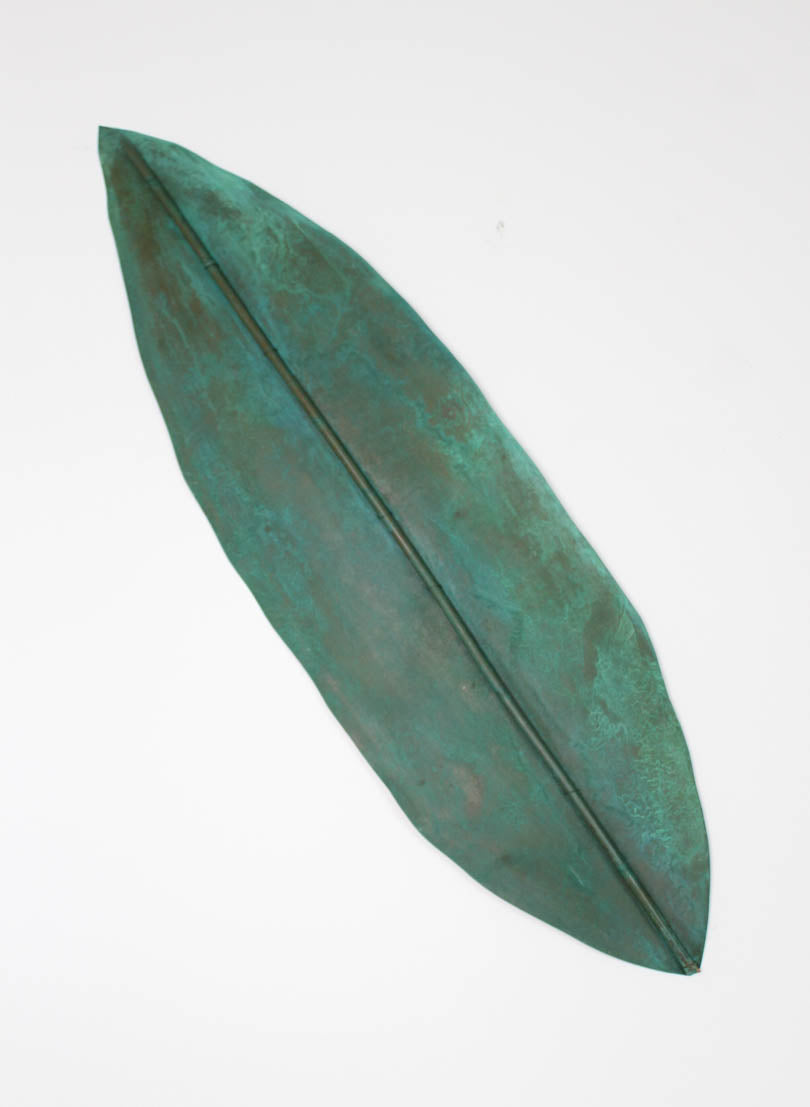 Tawa Leaf