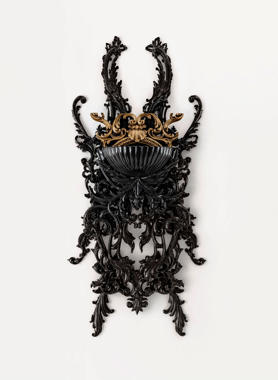 TAXONOMY III - Photographic Print