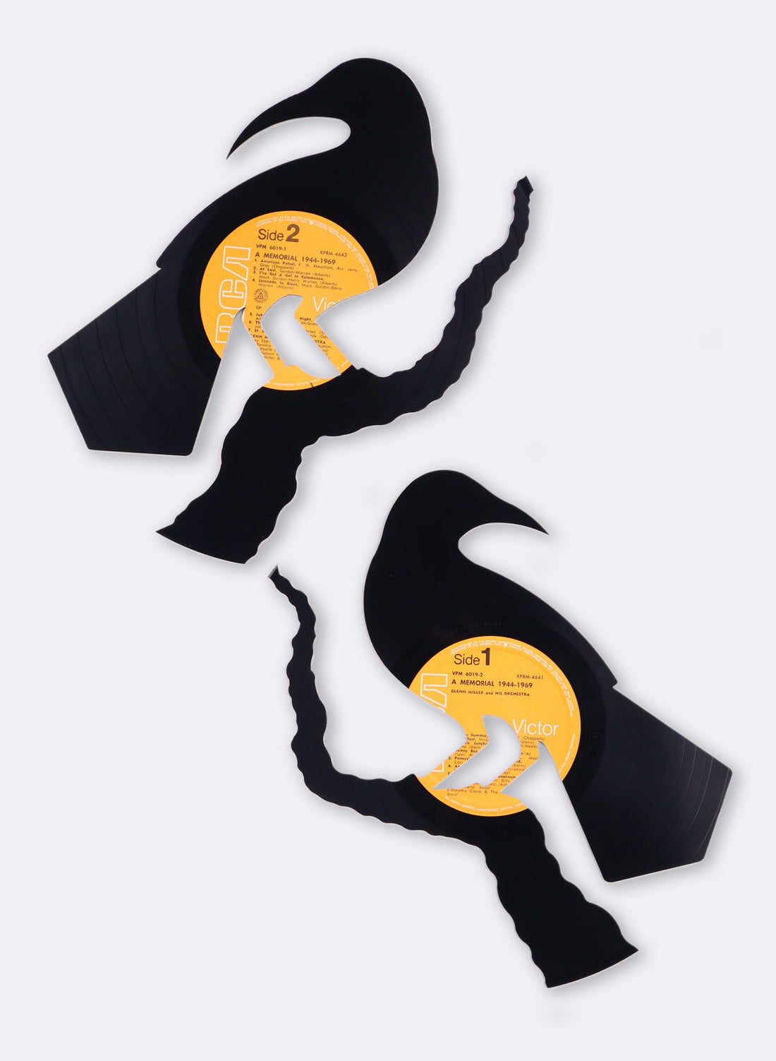 Male & Female Huia | A Memorial 1944-1969