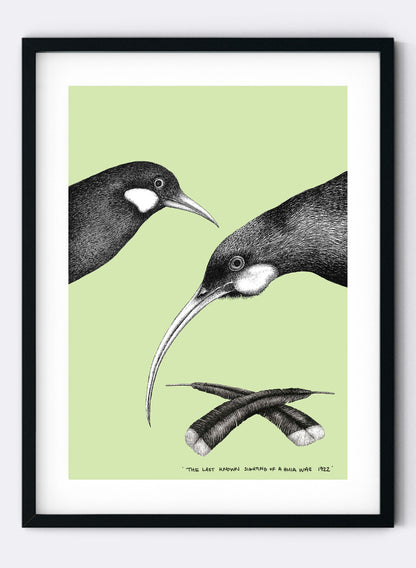 The Last Known Sighting of a Huia (Green) - Digital Print