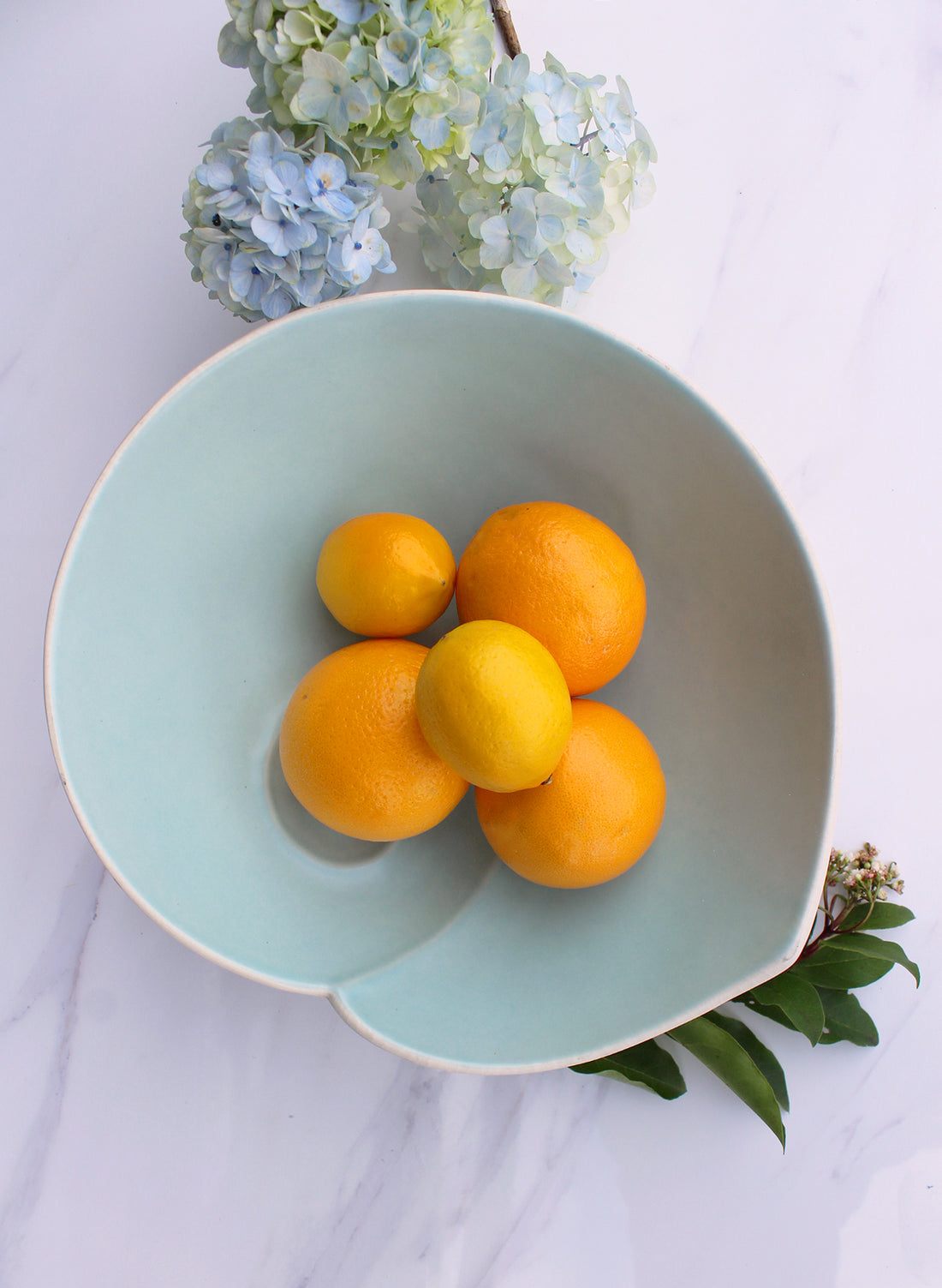 Large Nautilus Shell Bowl - Aqua