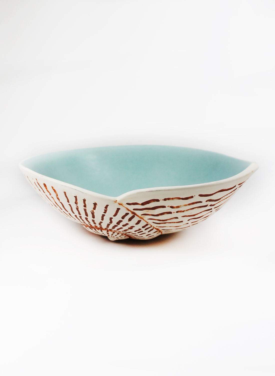 Large Nautilus Shell Bowl - Aqua